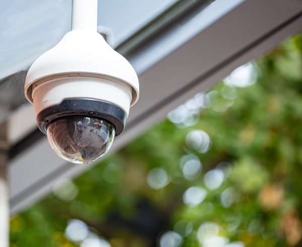 Wireless Security Cameras and Video Surveillance Systems