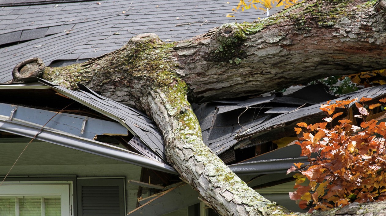 Smart home monitoring system protecting Ontario home during fall storm