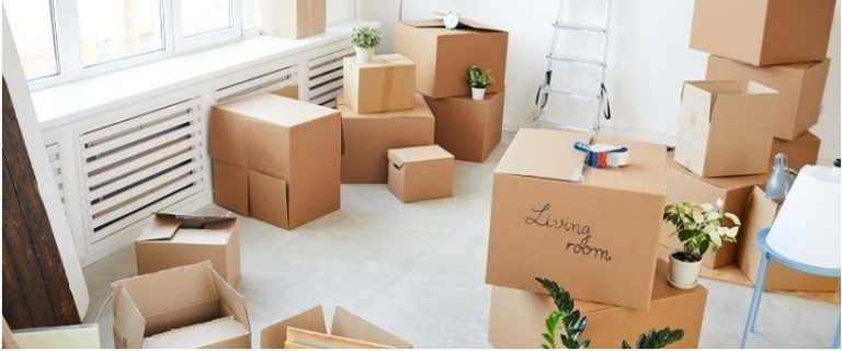Live Alone ? What To Know Before Making That Move
