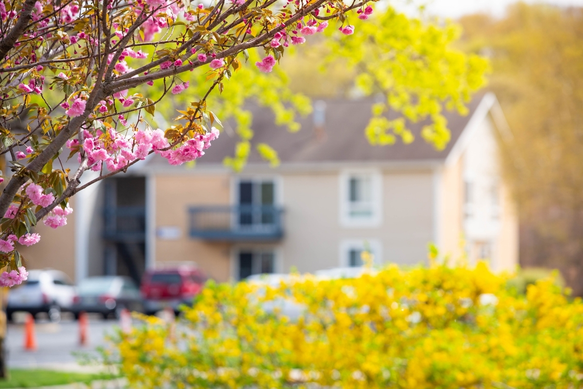Home Security Checklist